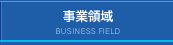 事業領域